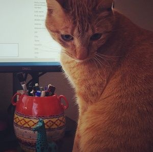 Meet your Posher, Annie